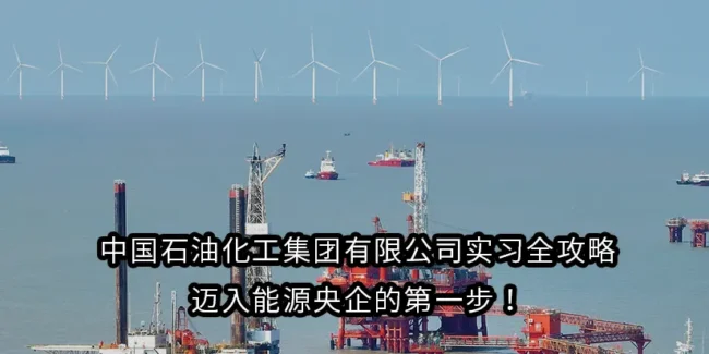 中国石油化工集团有限公司实习全攻略:迈入能源央企的第一步！