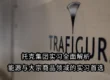 托克集团实习全面解析｜能源与大宗商品领域的实习首选